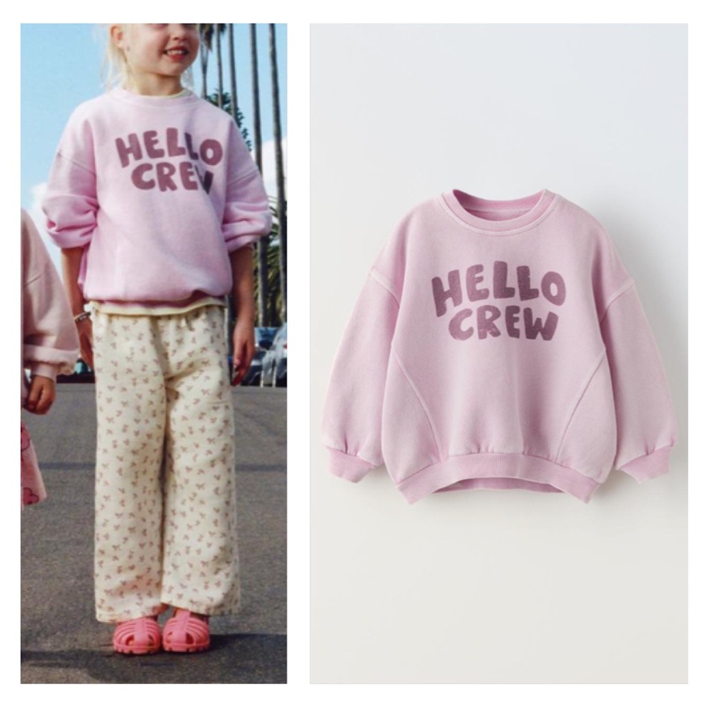 NWT Zara sweatshirt